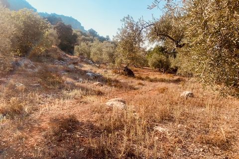 Helårsgrund i Comares, Malaga, Comares - € 25.000 | Ref: ID3898 - foto 4